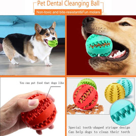 Interactive Rubber Balls Puppy Chewing Toys