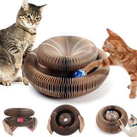 Magic Organ Cat Toy