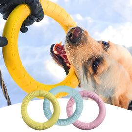 Puppy Flying Disk Chewing Toys