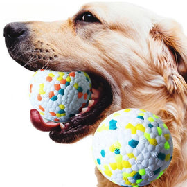 Bite Resistant Solid Dog Ball Toys