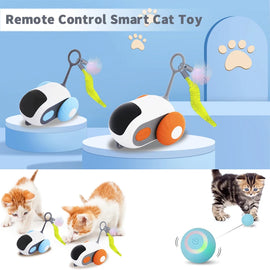 Cat Smart Interactive Car Toy