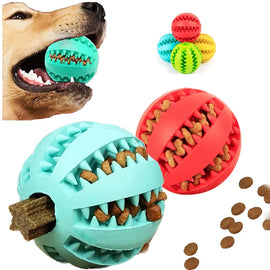 Interactive Rubber Balls Puppy Chewing Toys