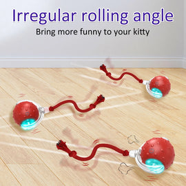 Ball Bird Chirping Interactive Cats Toys