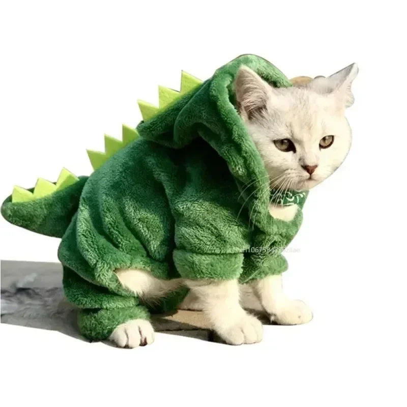 Funny Dinosaur Costume