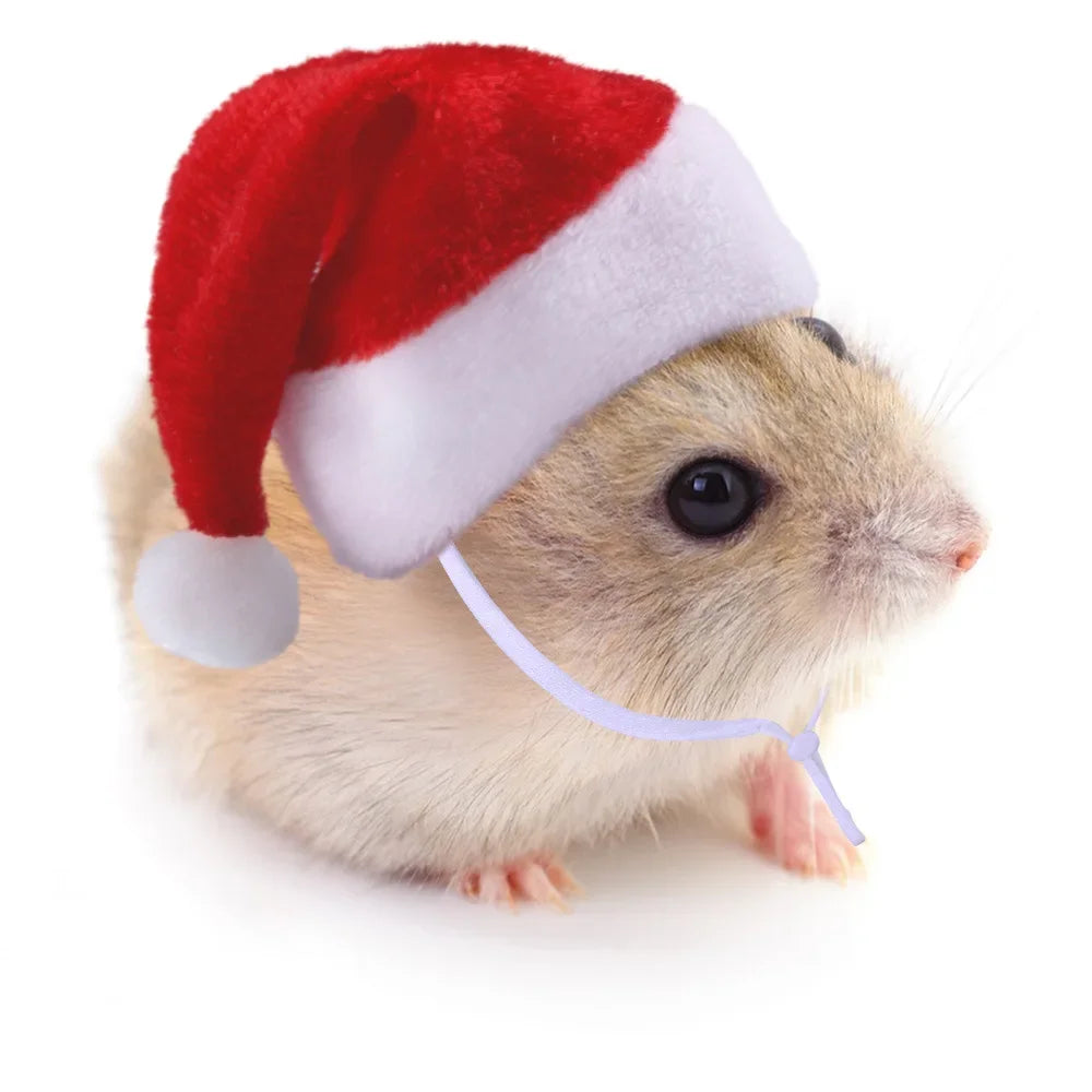 Hamster Guinea Pig Christmas Cap